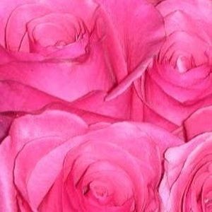 Meet your Posher, Chazelle!!!